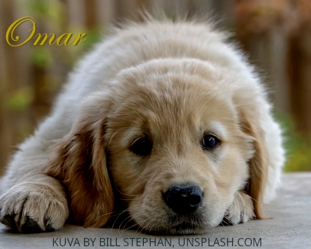 Omar