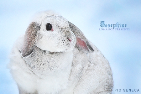 Josephine