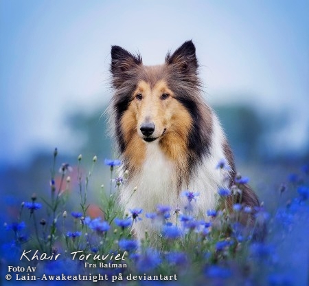 Khair Toruviel