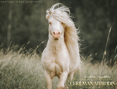 Ceridwan Myrddin