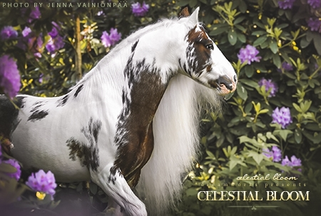 Celestial Bloom