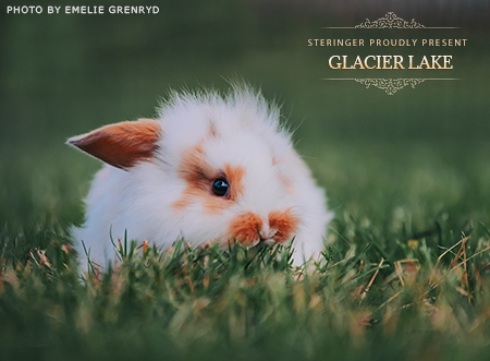 Glacier Lake