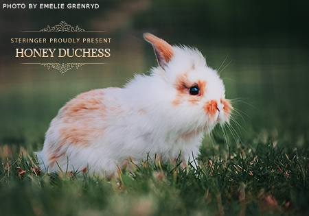 Honey Duchess