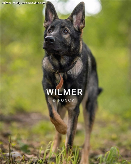 Wilmer 