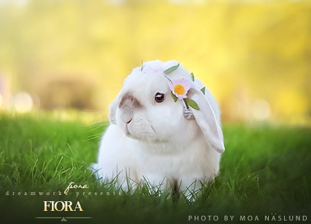 Fiora