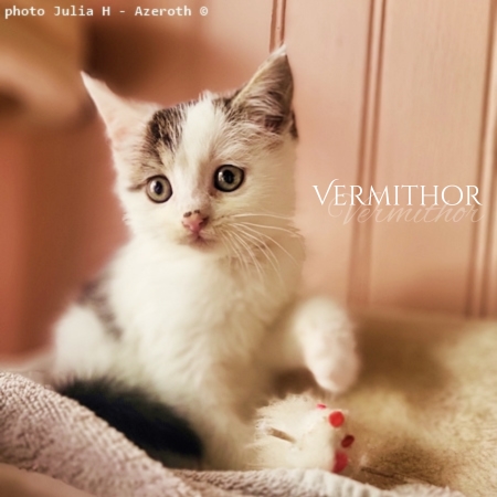 Vermithor