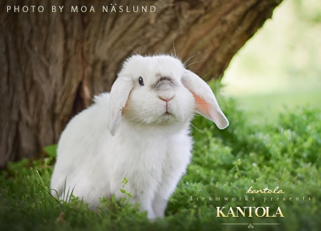 Kantola