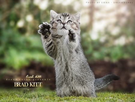 Brad Kitt