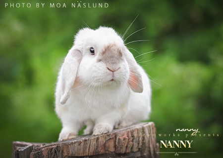 Nanny