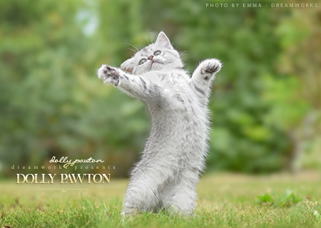 Dolly Pawton