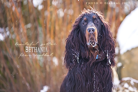 Bethania