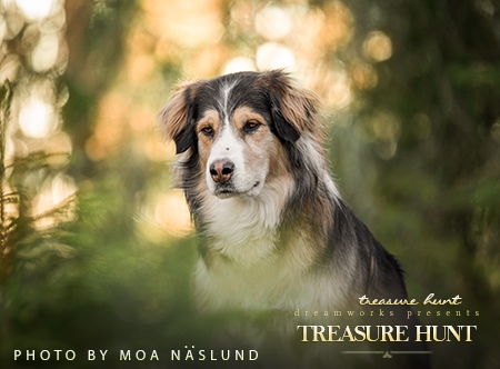 Treasure Hunt