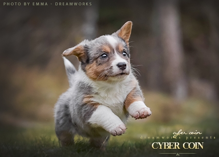 Cyber Coin