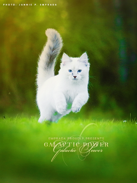 Galactic Power