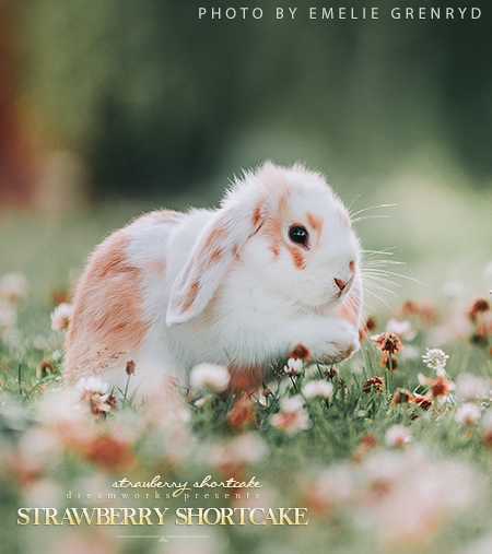 Strawberry Shortcake