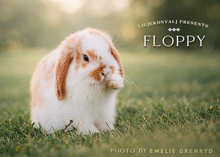 Floppy