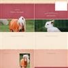 SeyoniQue