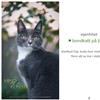 marilyn manson